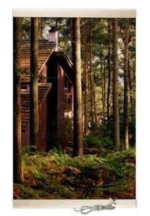 НЭО "Дом в лесу" — фото